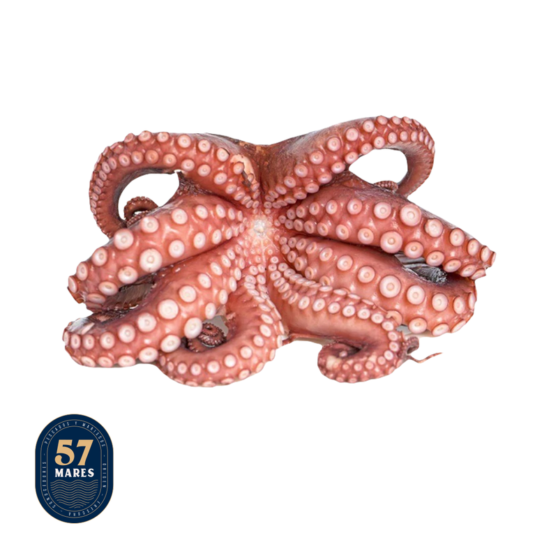 Pulpo 57 Mares